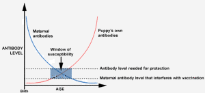 passive-immunity-chart