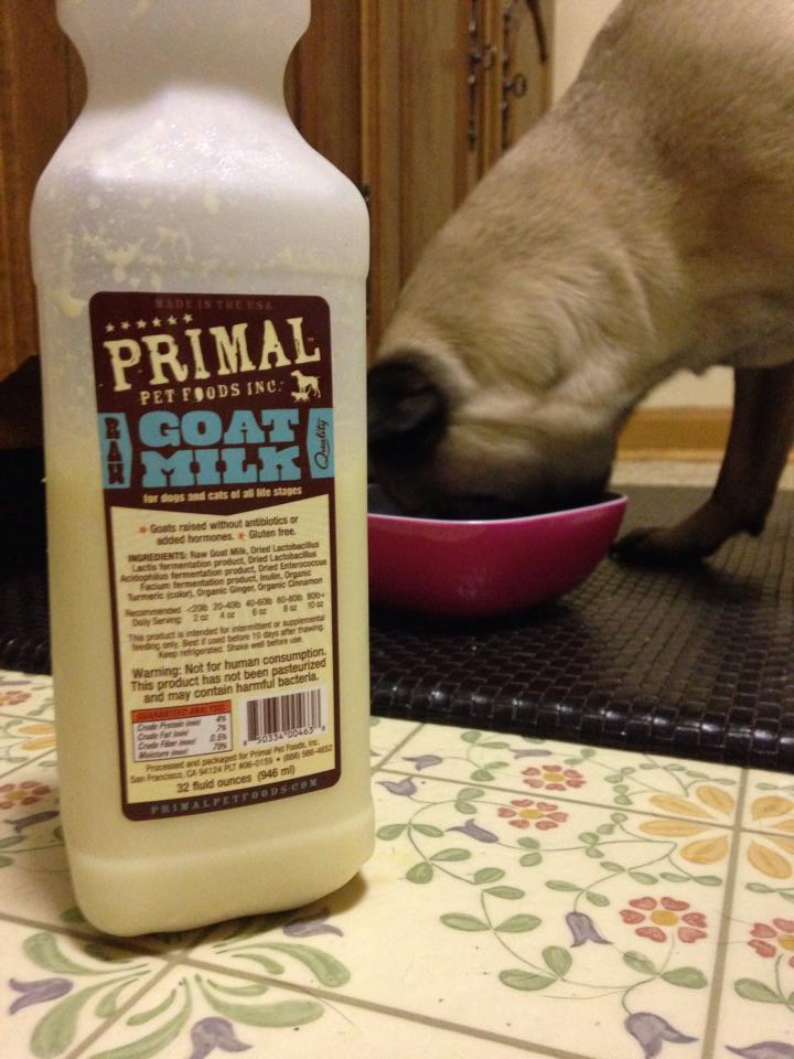 The Benefits of Raw Goat Milk for Your Pet - Give A Dog A Bone